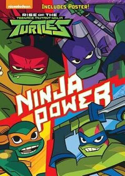 Ninja Power (Rise of the Teenage Mutant Ninja Turtles #1), Paperback/David Lewman