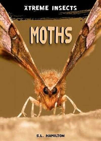 Moths/S. L. Hamilton