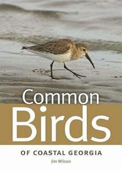 Common Birds of Coastal Georgia, Paperback/Jim Wilson