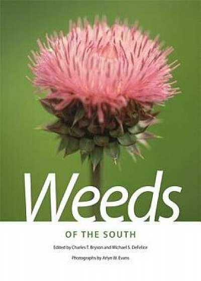 Weeds of the South, Paperback/Alan F. Wiese