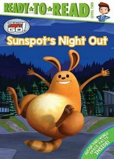 Sunspot's Night Out, Paperback/Jordan D. Brown
