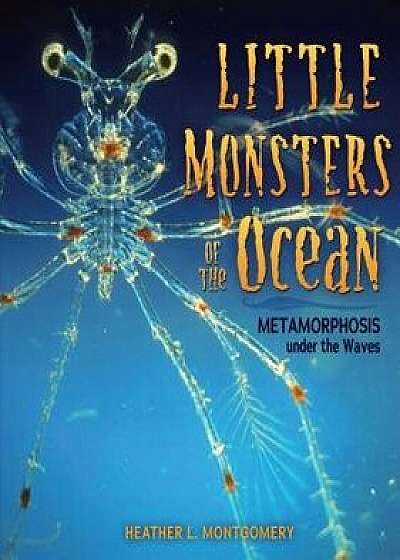 Little Monsters of the Ocean: Metamorphosis Under the Waves/Heather L. Montgomery
