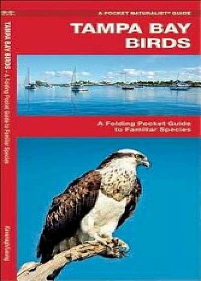 Tampa Bay Birds: A Folding Pocket Guide to Familiar Species, Hardcover/James Kavanagh