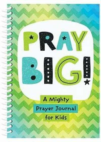 Pray Big!: A Mighty Prayer Journal for Kids/Joanne Simmons