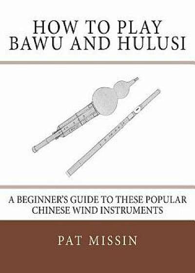 How to Play Bawu and Hulusi: A Beginner's Guide to These Popular Chinese Wind Instruments, Paperback/Pat Missin