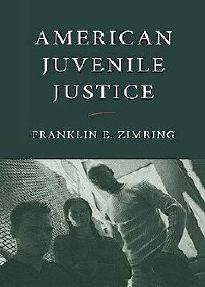 American Juvenile Justice, Paperback/Franklin E. Zimring