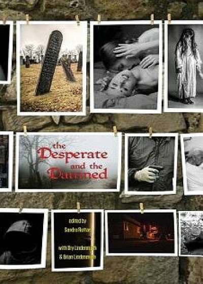 The Desperate and the Damned, Paperback/Sandra Ruttan