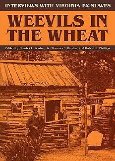 Weevils in the Wheat: Interviews with Virginia Ex-Slaves, Paperback/Charles L. Perdue
