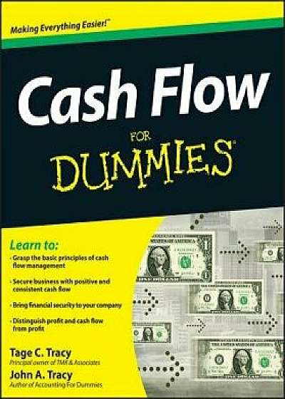 Cash Flow for Dummies, Paperback/John A. Tracy