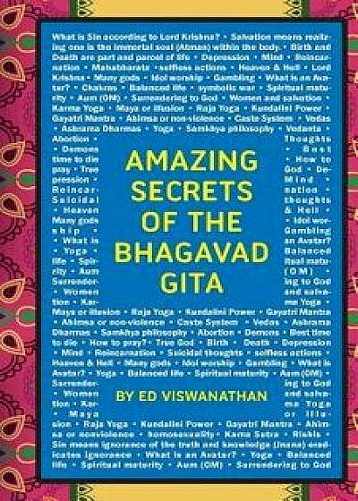 Amazing Secrets of the Bhagavad Gita: A Grandfather and Grandson Discuss Hinduism, Yoga, Reincarnation, and More, Paperback/Shri Viswanathan