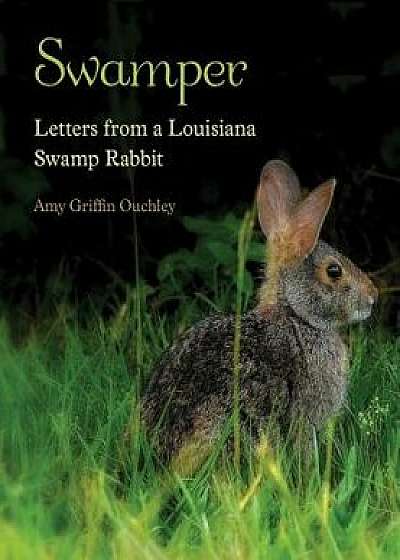 Swamper: Letters from a Louisiana Swamp Rabbit, Hardcover/Amy Griffin Ouchley