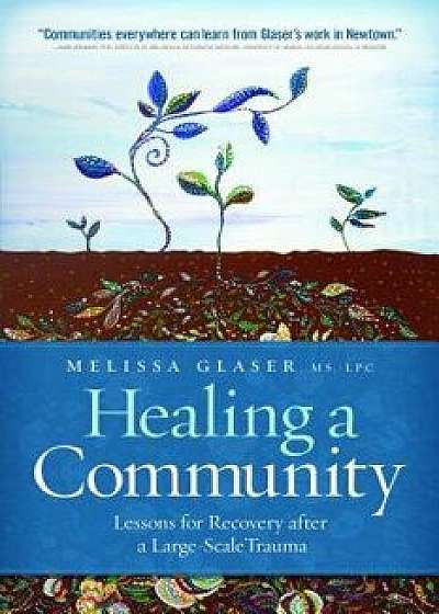 Healing a Community: Lessons for Recovery After a Large-Scale Trauma, Paperback/Melissa Glaser