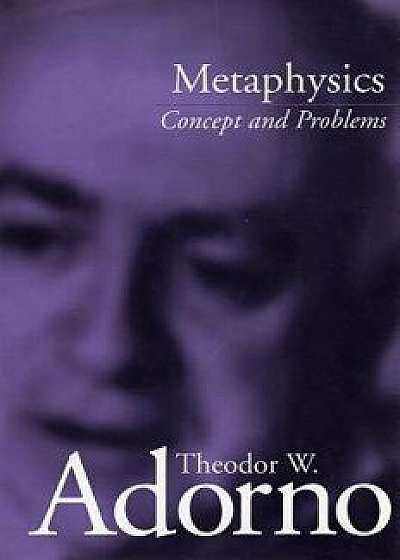 Metaphysics: Concept and Problems, Paperback/Theodor Adorno