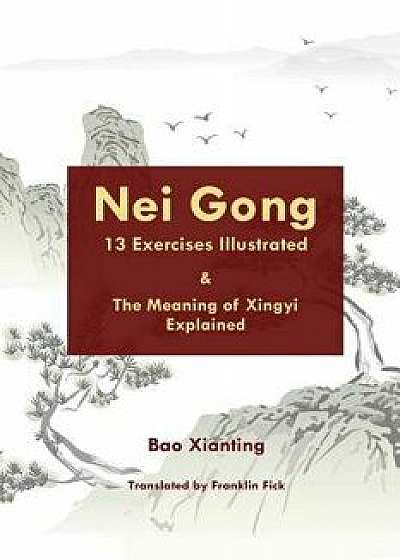 Nei Gong 13 Exercises Illustrated and the Meaning of Xing Yi Explained, Paperback/Franklin Fick