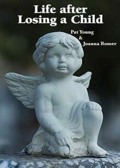 Life after Losing a Child, Paperback/Pat Young