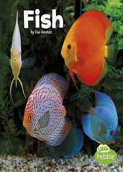 Fish, Paperback/Lisa J. Amstutz