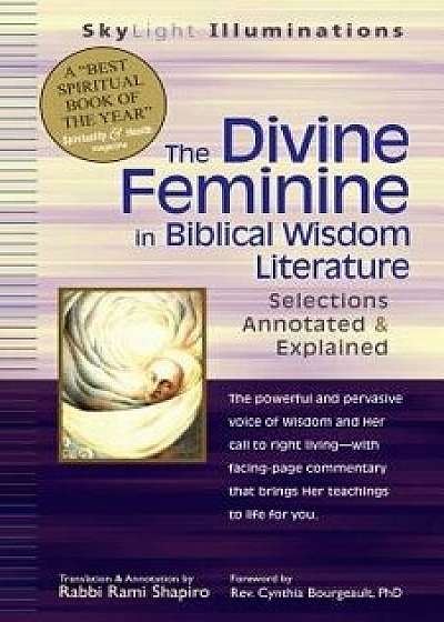 The Divine Feminine in Biblical Wisdom Literature: Selections Annotated & Explained, Paperback/Rami Shapiro