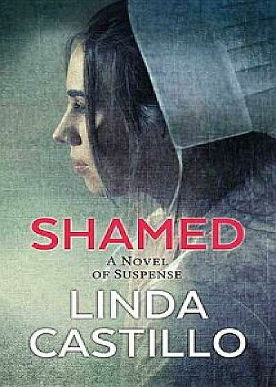Shamed: A Kate Burkholder Novel/Linda Castillo