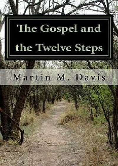 The Gospel and the Twelve Steps: Following Jesus on the Path of Recovery, Paperback/Rev Martin M. Davis