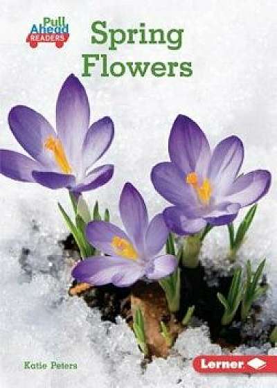 Spring Flowers, Paperback/Katie Peters