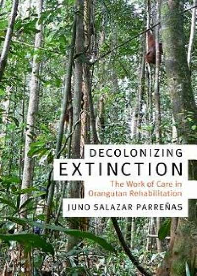 Decolonizing Extinction: The Work of Care in Orangutan Rehabilitation, Paperback/Juno Salazar Parrenas