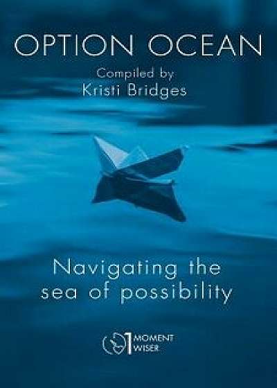 Option Ocean: Navigating the Sea of Possibility, Paperback/Kristi Bridges