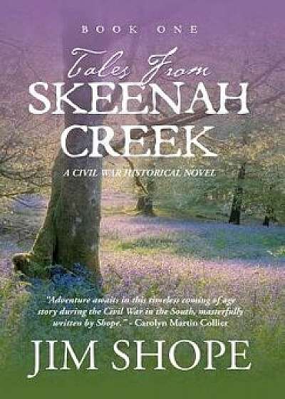 Tales from Skeenah Creek: A Civil War Historical Fiction Novel, Hardcover/Jim Shope