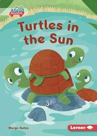 Turtles in the Sun, Paperback/Margo Gates