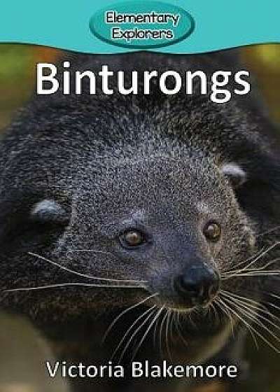 Binturongs, Paperback/Victoria Blakemore