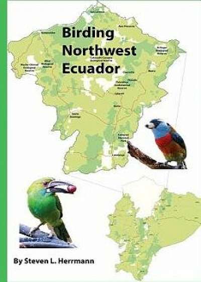 Birding Northwest Ecuador, Paperback/Steven L. Herrmann