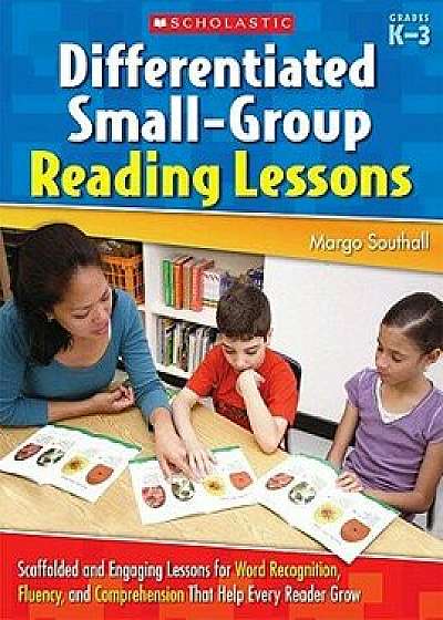 Differentiated Small-Group Reading Lessons: K-3, Paperback/Margo Southall