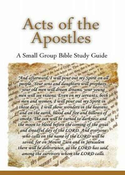 Acts of the Apostles, a Small Group Bible Study Guide, Paperback/Ted Lafemina
