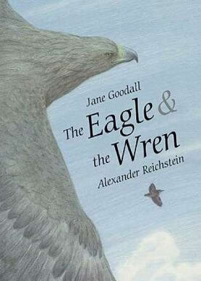 The Eagle & the Wren, Hardcover/Jane Goodall