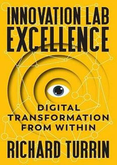 Innovation Lab Excellence: Digital Transformation from Within, Paperback/Richard Turrin