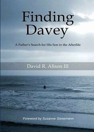 Finding Davey: A Father's Search for His Son in the Afterlife, Paperback/David Reese Alison III