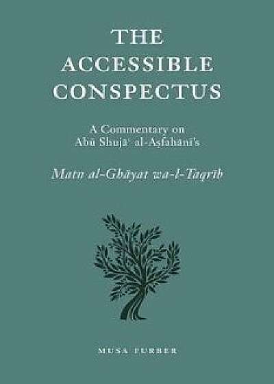 The Accessible Conspectus, Paperback/Musa Furber