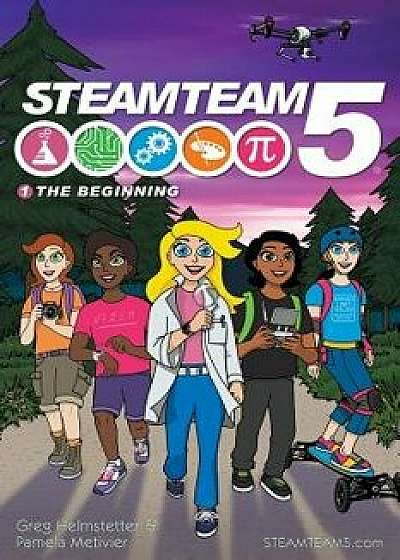 The Beginning: (steamteam 5 Main Series Book 1), Paperback/Pamela Metivier