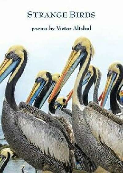 Strange Birds, Paperback/Victor Altshul