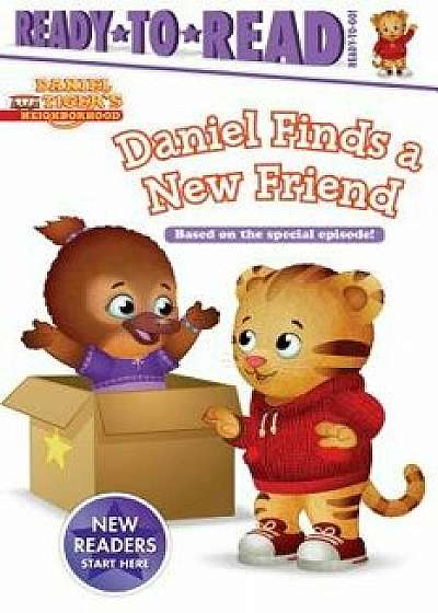 Daniel Finds a New Friend, Hardcover/Maggie Testa