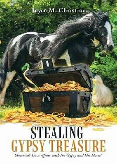 Stealing Gypsy Treasure: America's Love Affair with the Gypsy and His Horse, Paperback/Joyce M. Christian