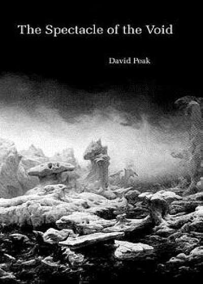 The Spectacle of the Void, Paperback/David Peak