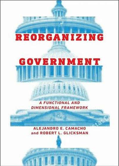 Reorganizing Government: A Functional and Dimensional Framework, Hardcover/Alejandro Camacho