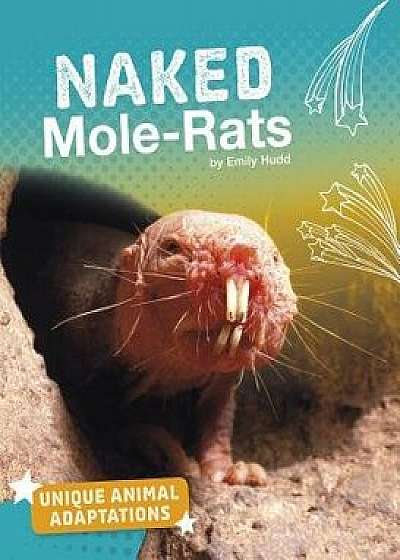 Naked Mole-Rats, Paperback/Emily Hudd