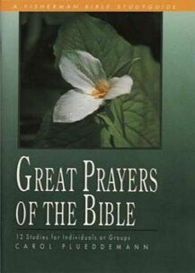 Great Prayers of the Bible, Paperback/Plueddemann