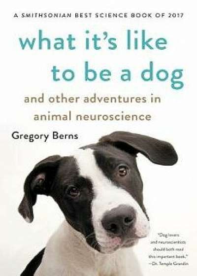 What It's Like to Be a Dog: And Other Adventures in Animal Neuroscience, Paperback/Gregory Berns