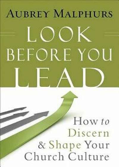 Look Before You Lead: How to Discern and Shape Your Church Culture, Paperback/Aubrey Malphurs