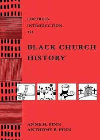 Fortress Intro Black Church Hi, Paperback/Anne H. Pinn