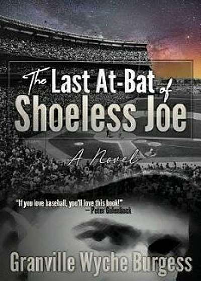The Last At-Bat of Shoeless Joe, Paperback/Granville Wyche Burgess