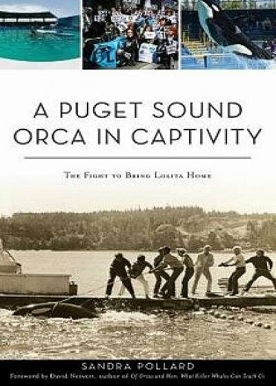 A Puget Sound Orca in Captivity: The Fight to Bring Lolita Home/Sandra Pollard