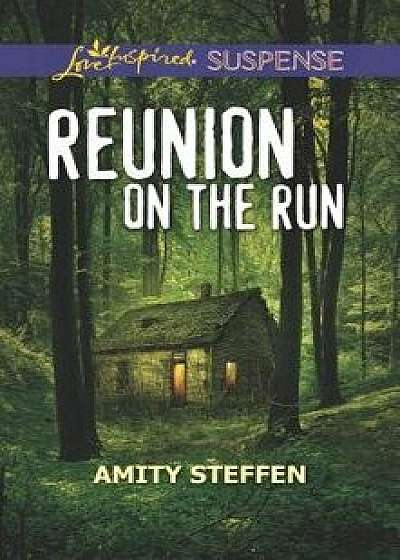 Reunion on the Run/Amity Steffen
